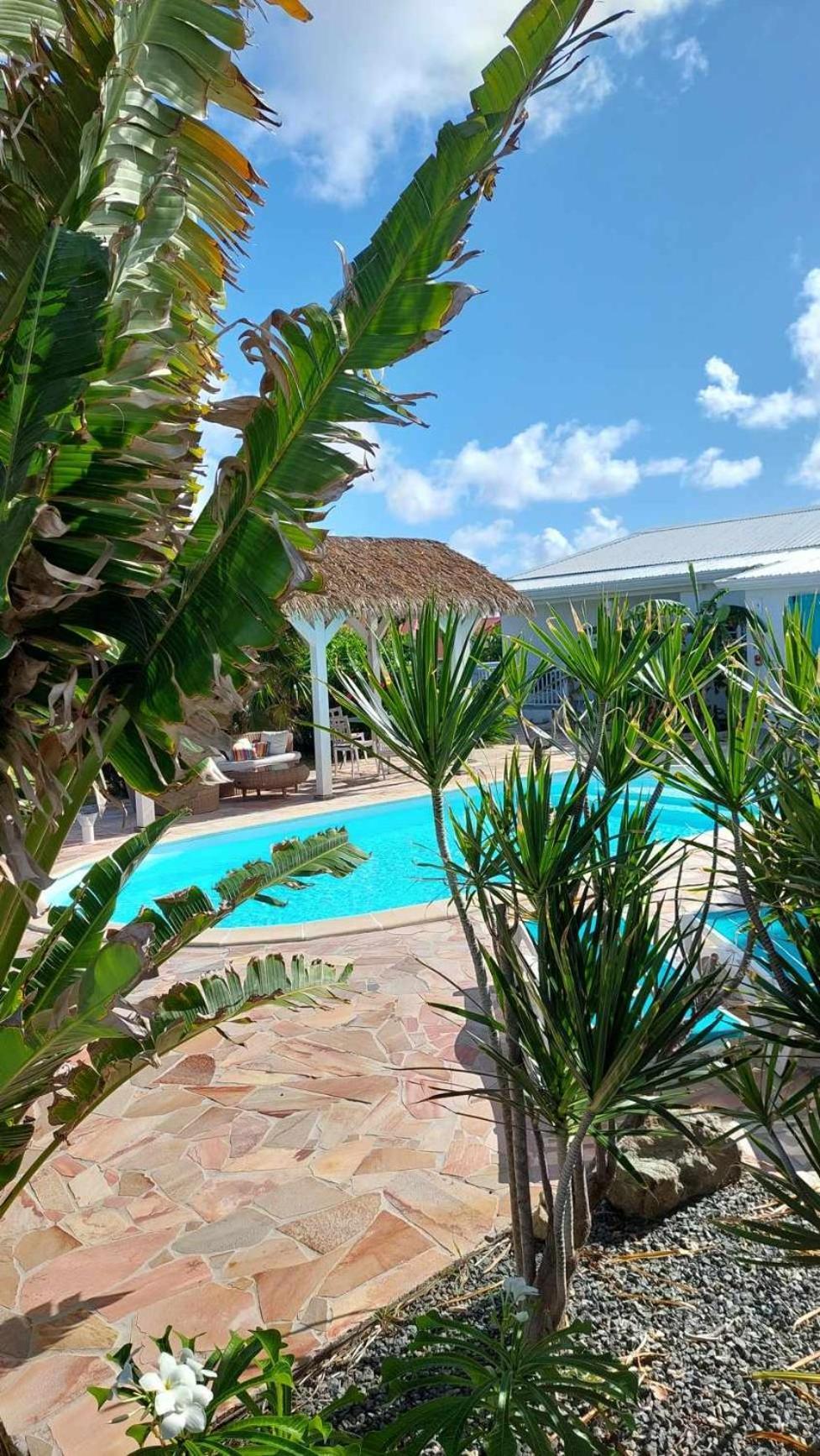 Tiko Lodge Sxm Quarter of Orleans Luaran gambar